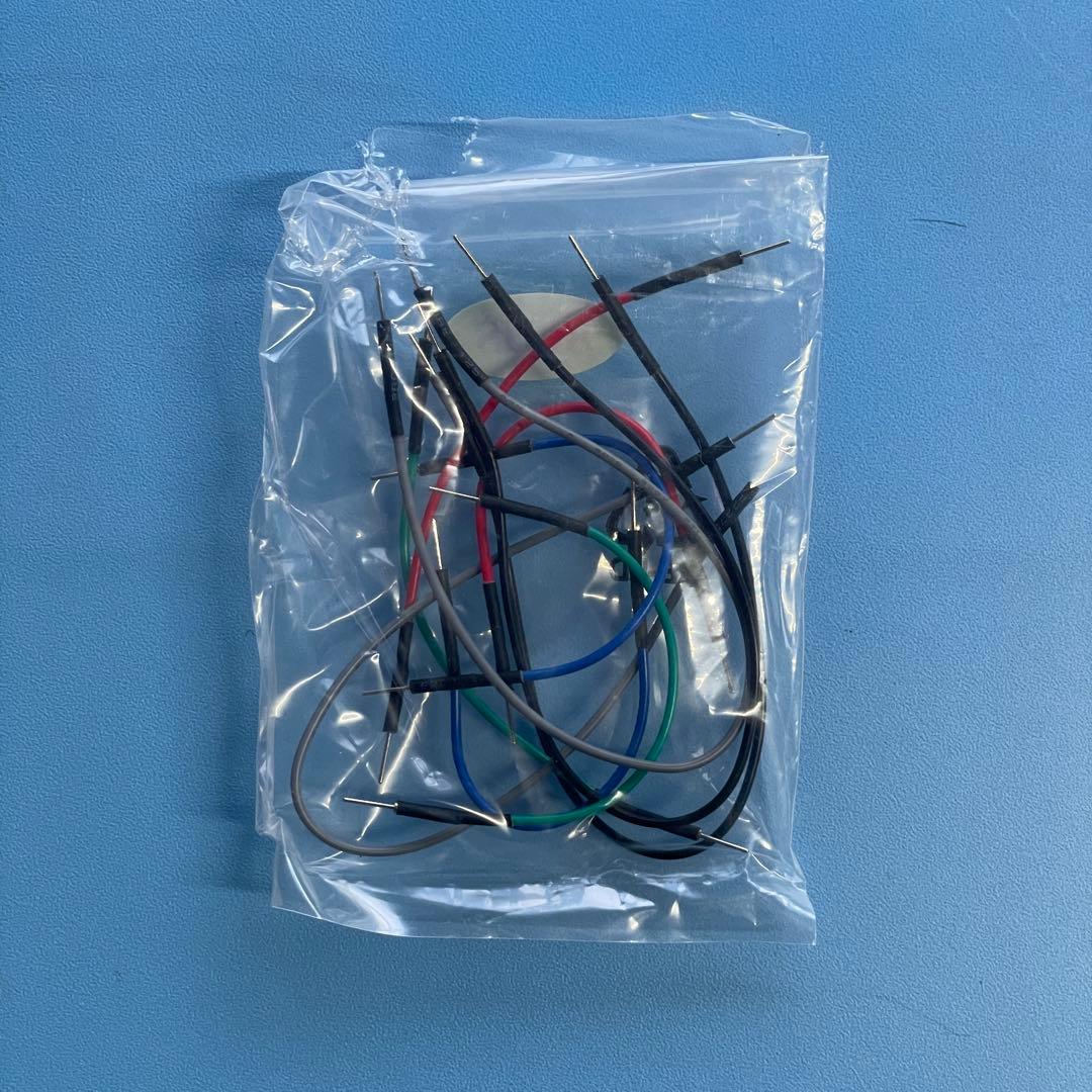 ギター Bastl Instruments Kastle 2 Wave Bard