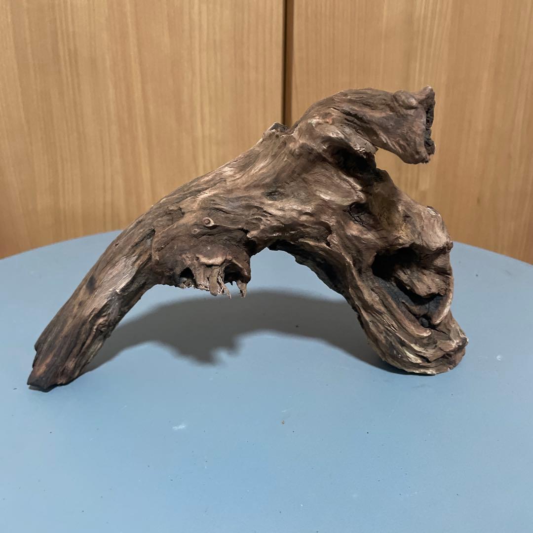 一点物 アーチ型流木3本セット