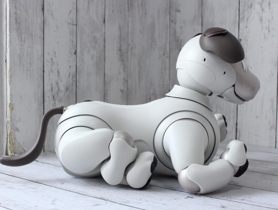 SONY AIBO アイボ 本体 ERS-1000 SIMカードなし