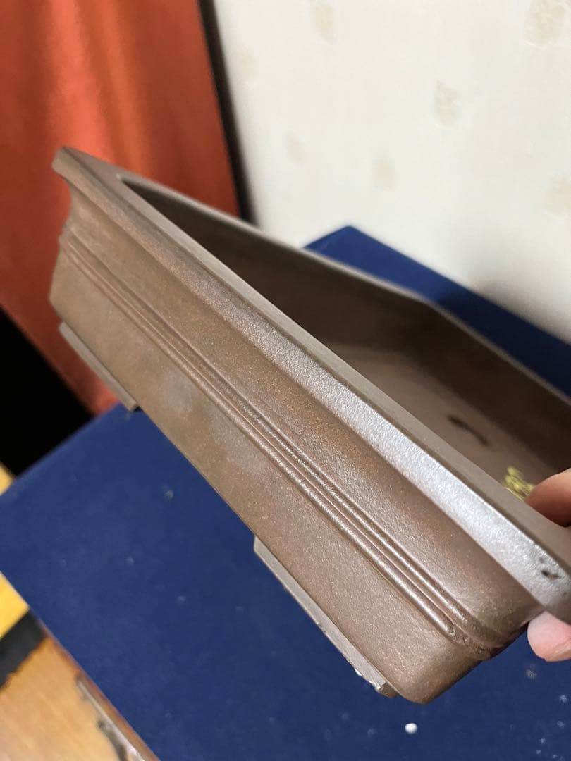 351 盆栽　盆栽鉢　植木鉢　中国鉢