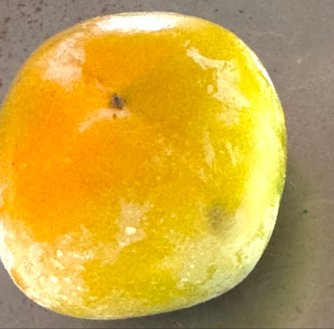 奈良県産たねなし柿 箱込み30キロ サイズSと2S家庭用