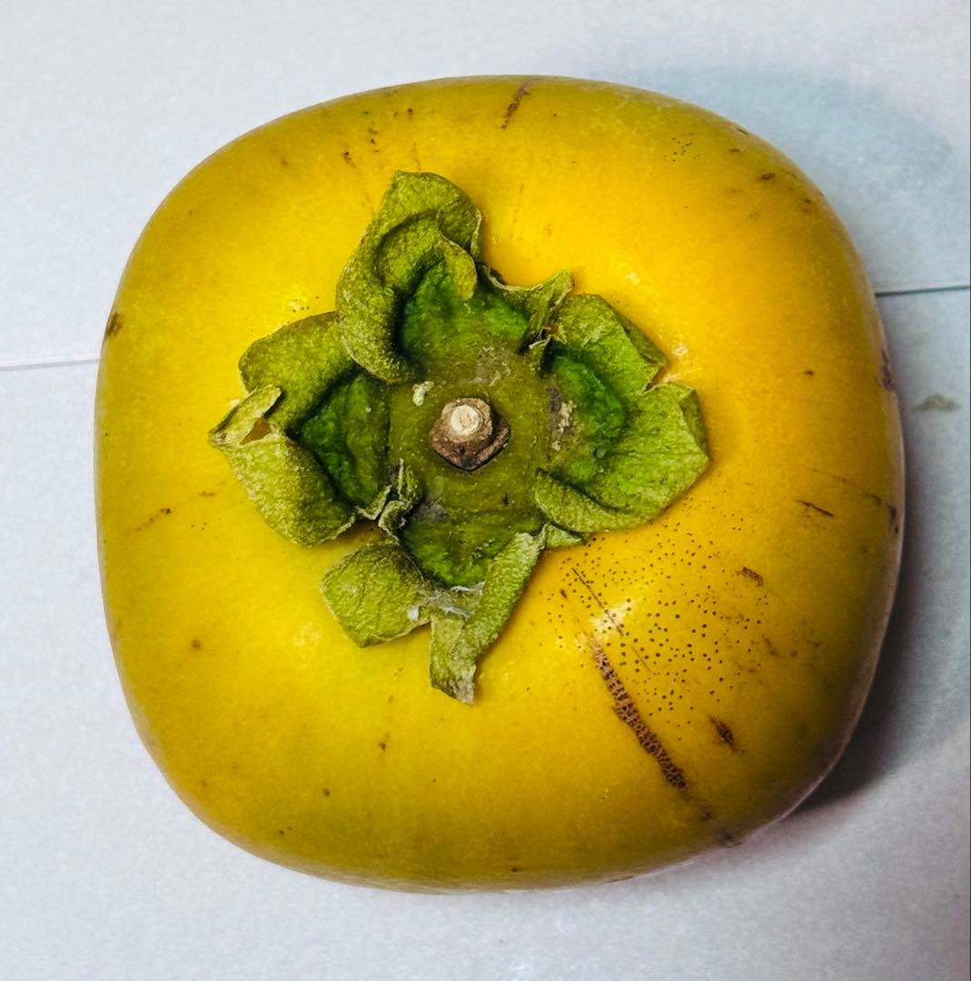 奈良県産たねなし柿 箱込み30キロ サイズSと2S家庭用