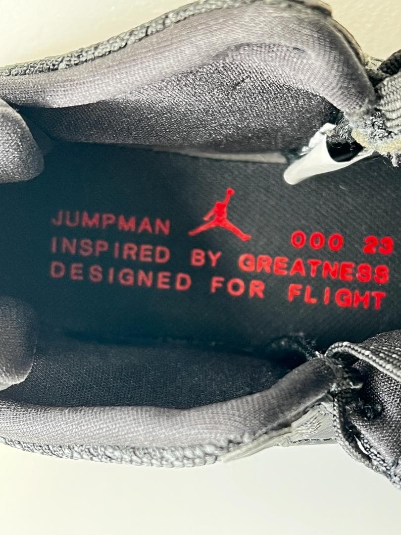 【希少・美品】NIKE JORDAN AEROSPACE 720 25.5cm