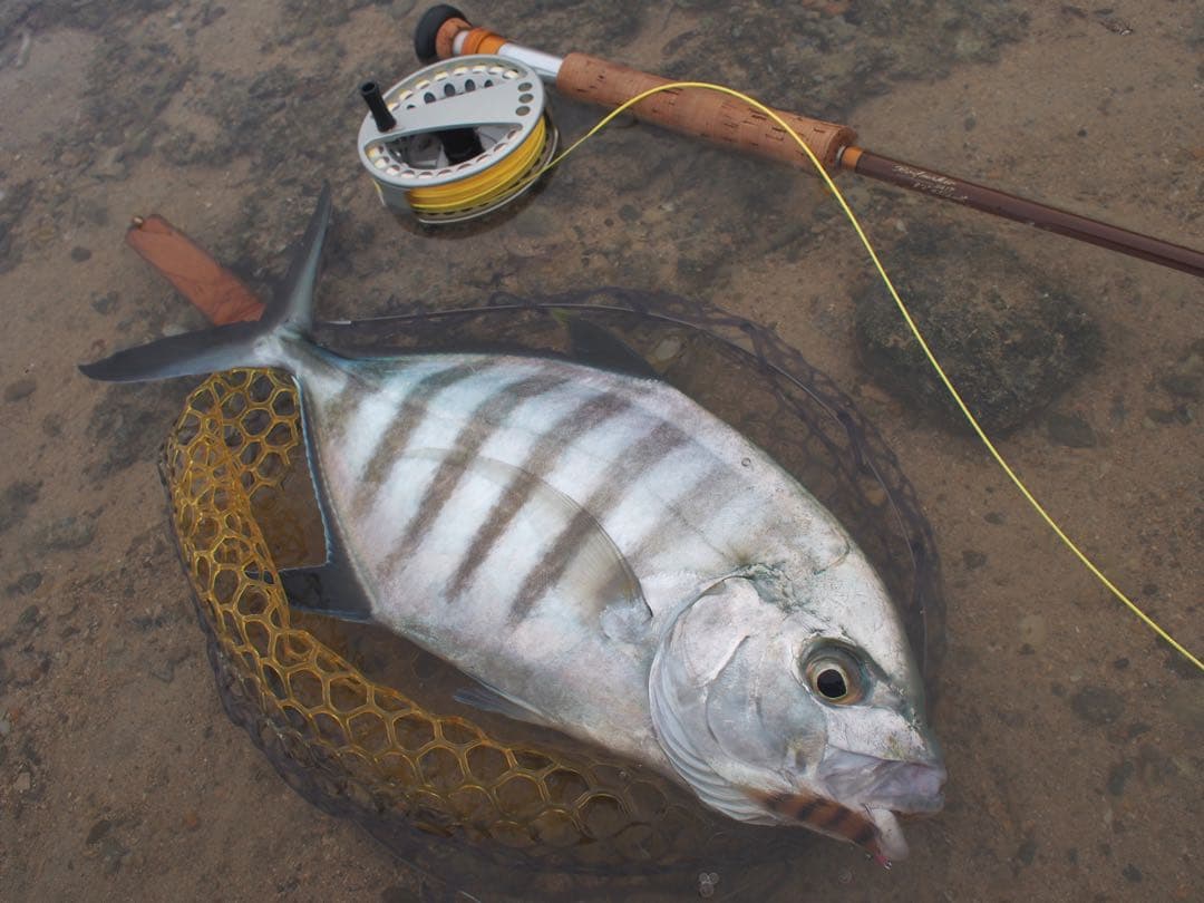 Rodmaker 24/7 Sグラス　フライロッド 9ft 5/6番