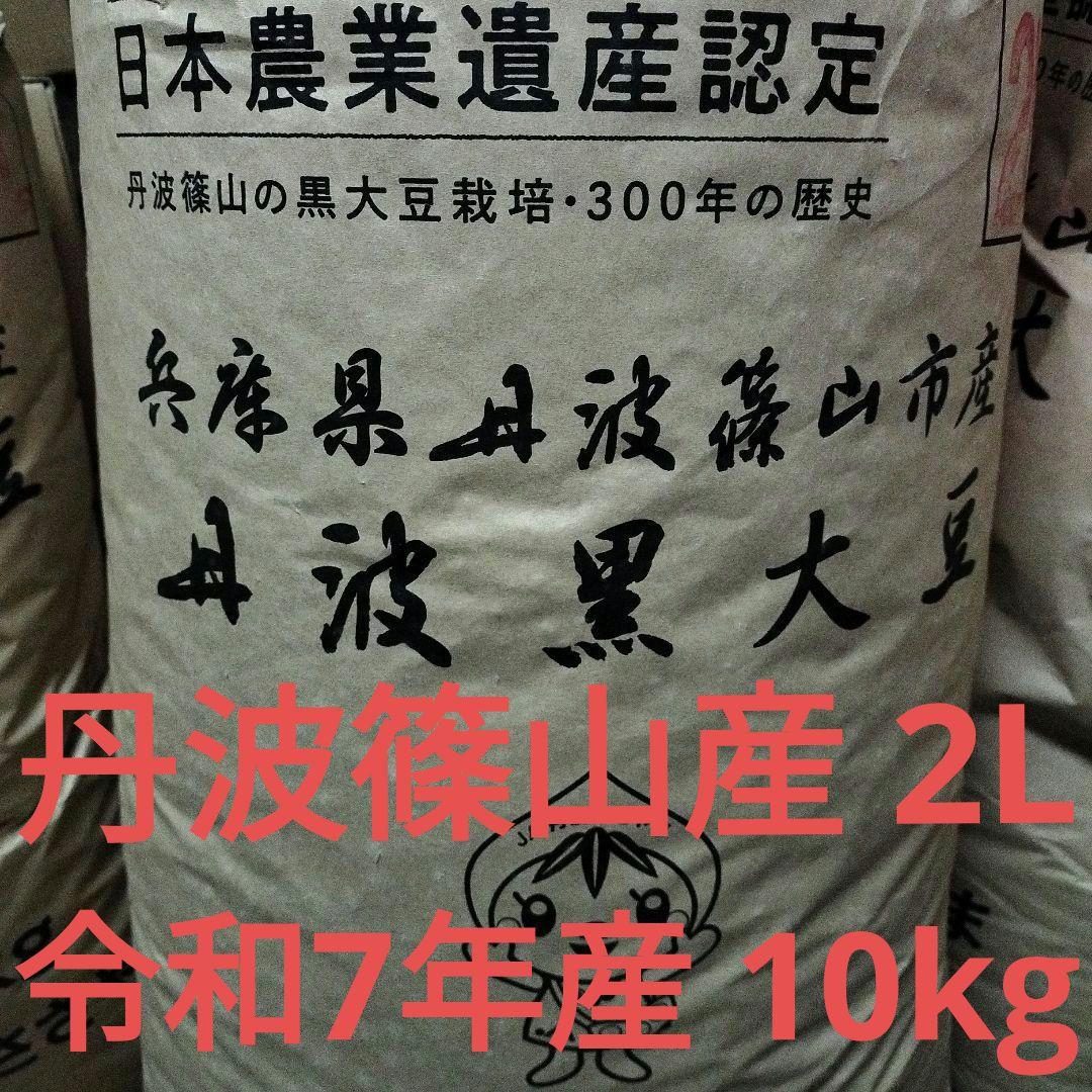 丹波篠山農協産 2L黒豆 10キロ 令和7年度新物
