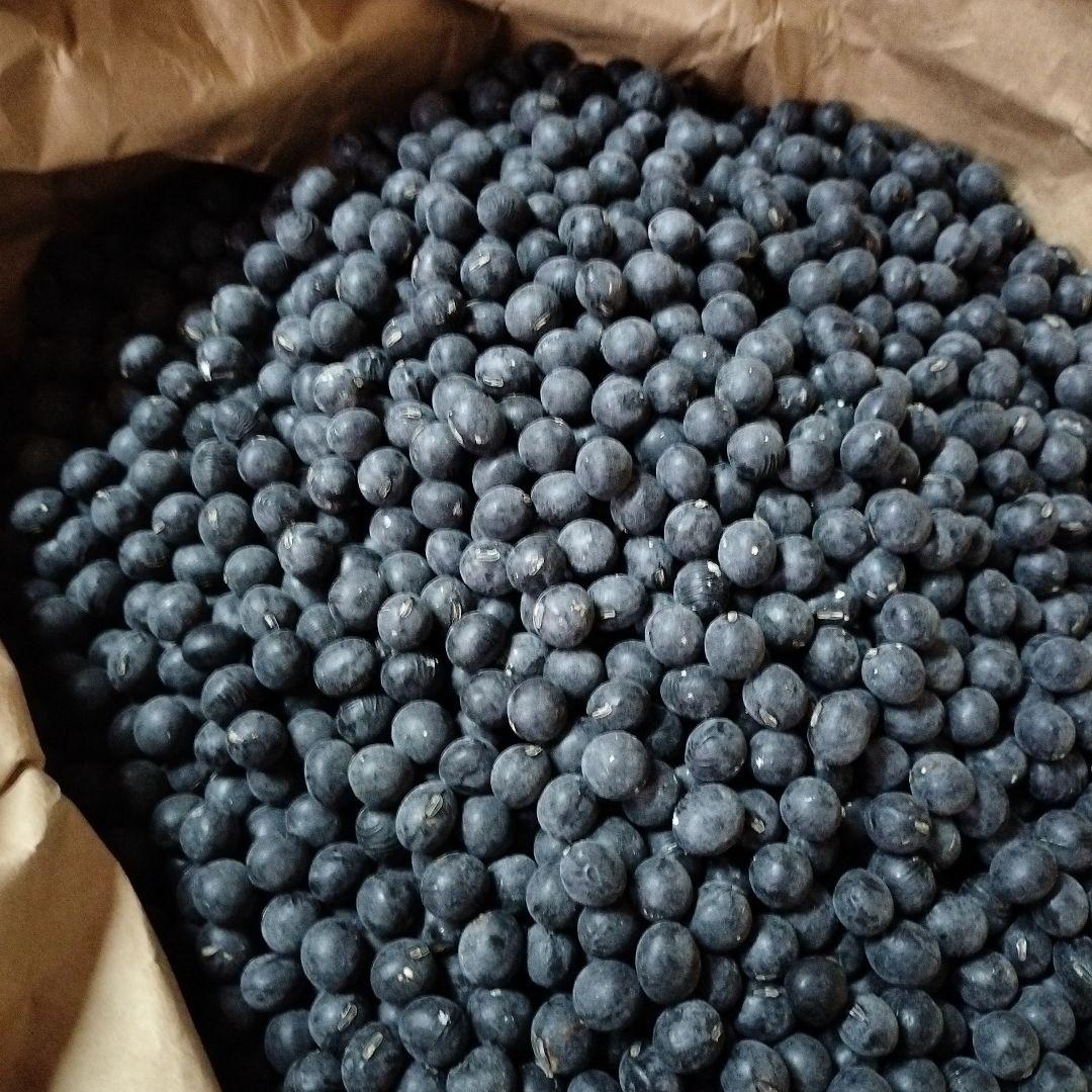 丹波篠山農協産 2L黒豆 10キロ 令和7年度新物