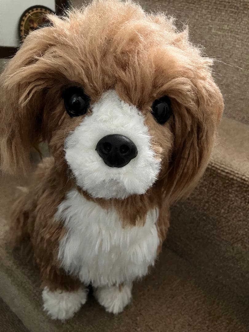 犬ぬいぐるみ　ミックス犬　ご確認用