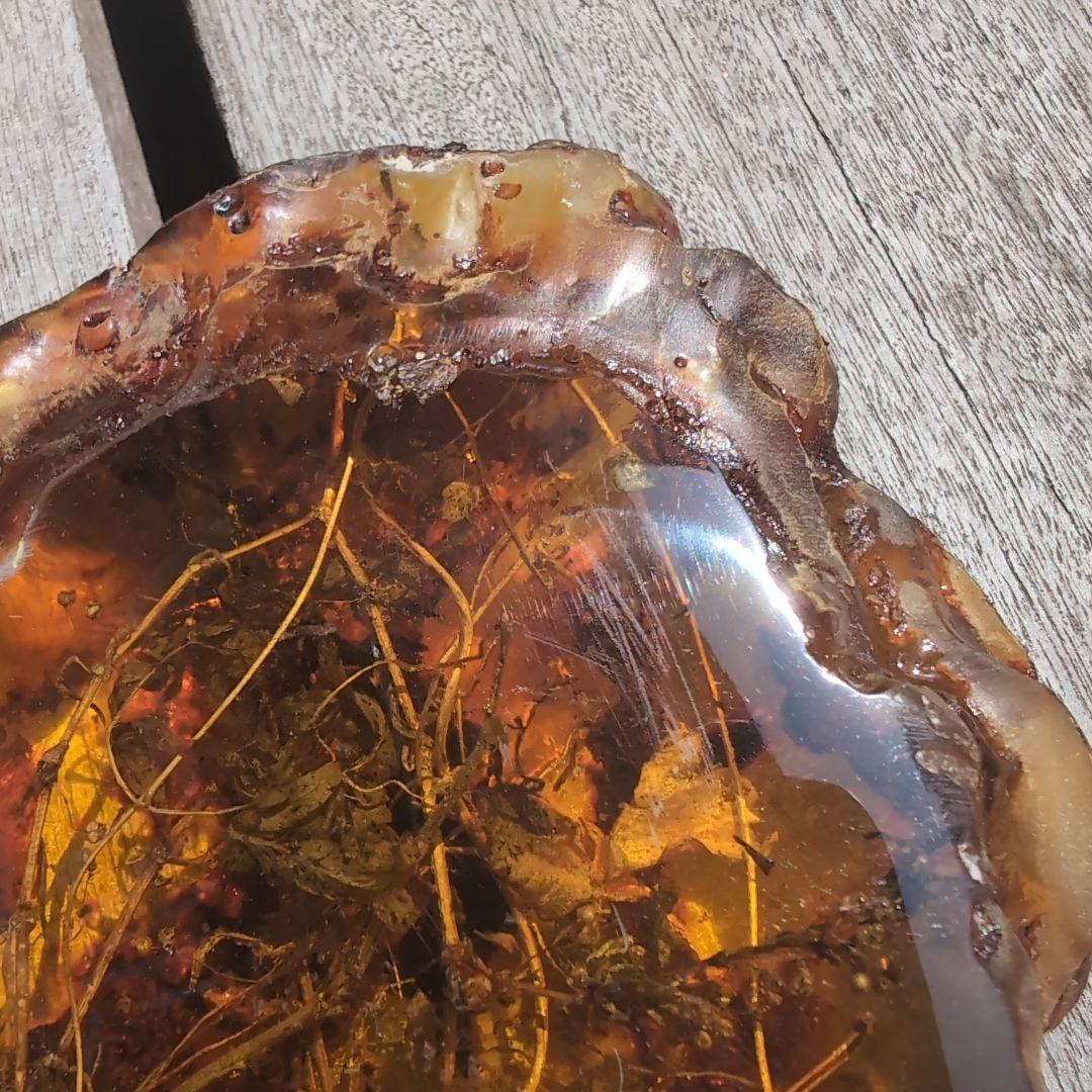 琥珀　化石　塊