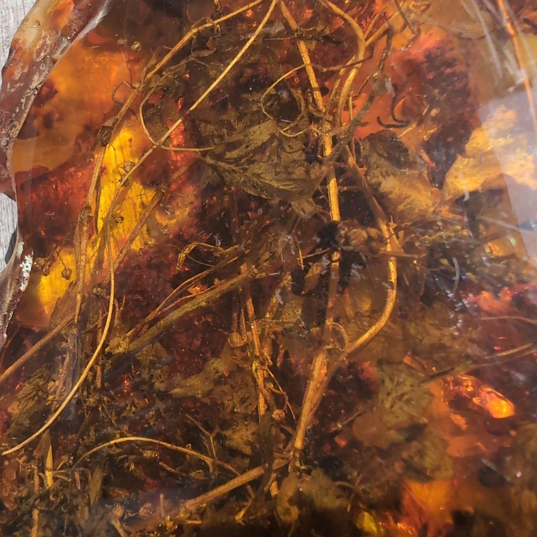 琥珀　化石　塊