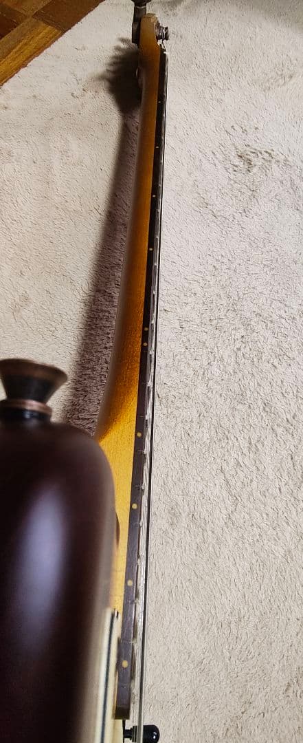 AXL Guitars AZ-820/SeymourDuncan PU　カスタム