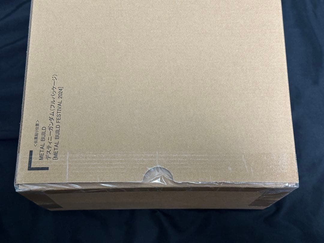 【未開封】L BUILD FESTIVAL2024 デスティニーガンダム