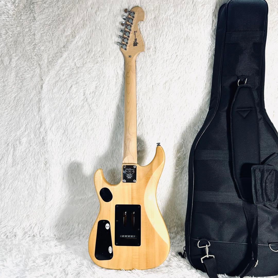 【レア美品】Washburn N1 PRO ヌーノ・ベッテンコートモデル