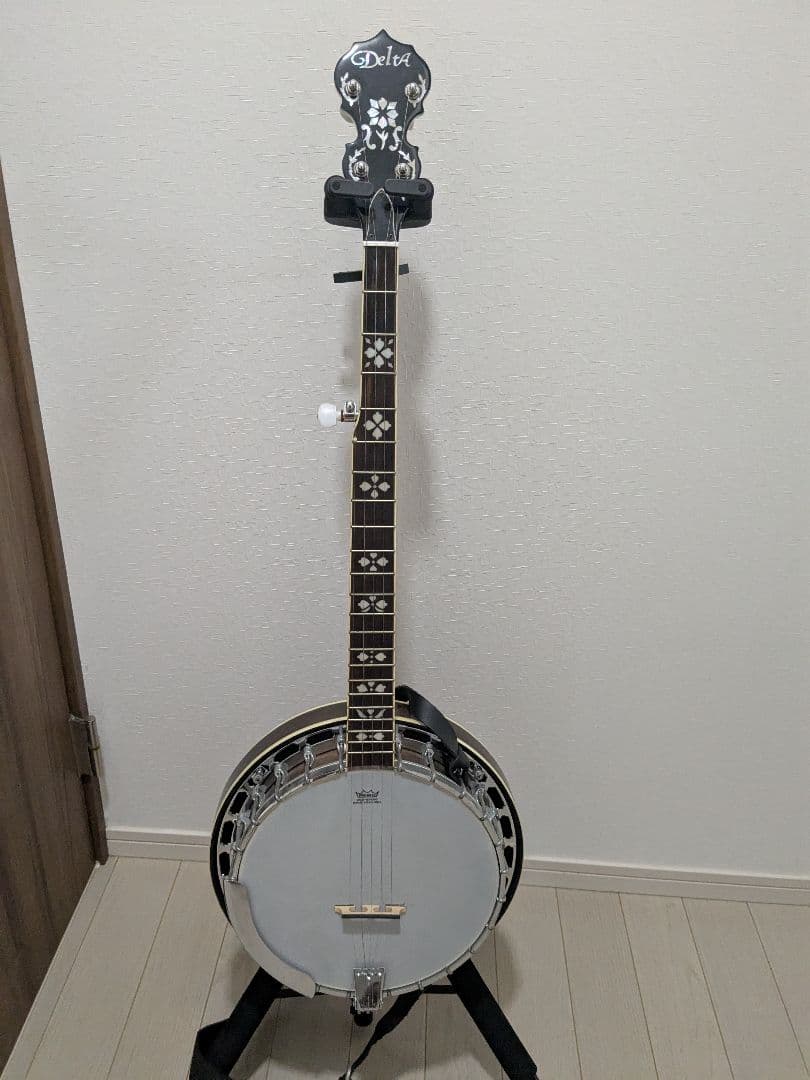 5弦バンジョー