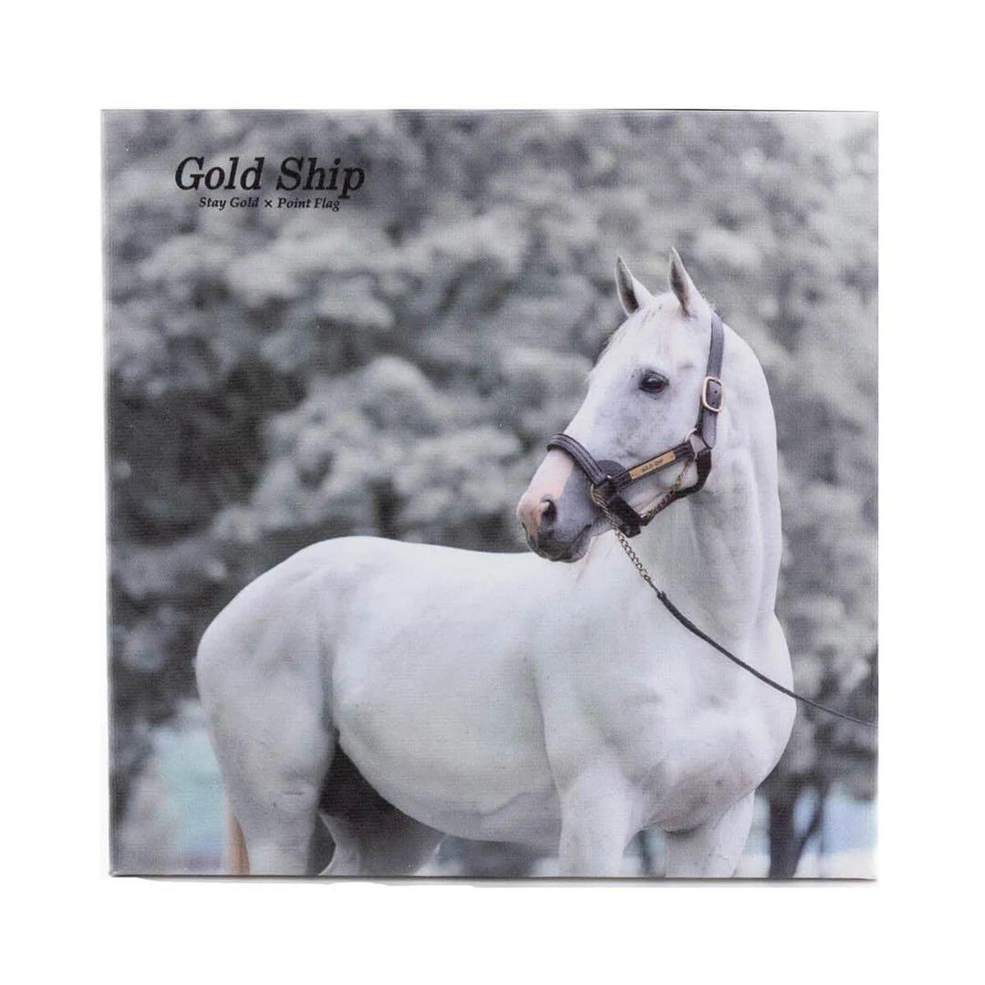 限定品♡ゴールドシップ　インテリア　キャンバスボード　競馬/午年