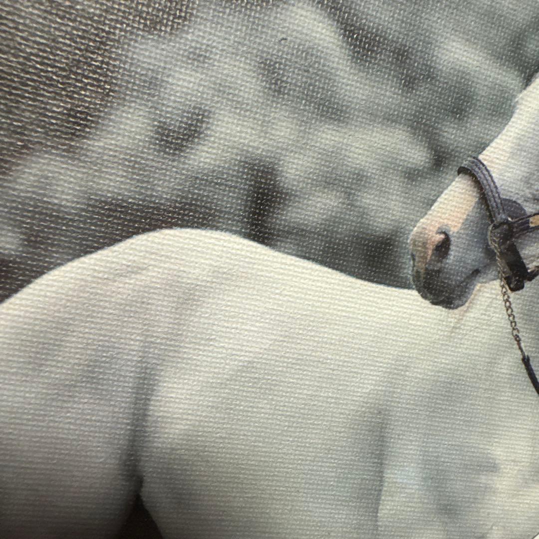 限定品♡ゴールドシップ　インテリア　キャンバスボード　競馬/午年