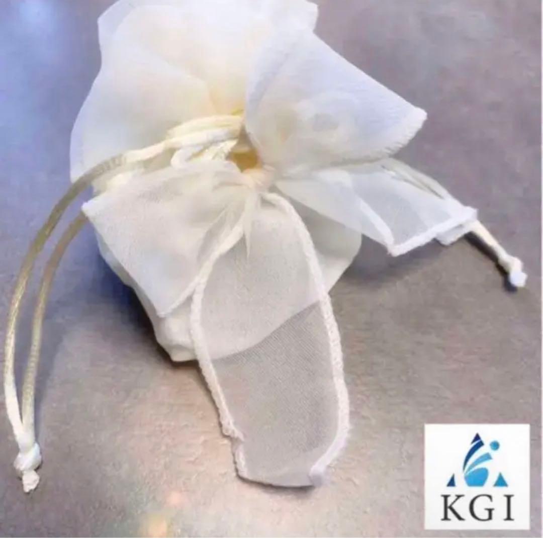 本物の流れ星の粉✨✨✨⭐️隕石⭐️✨✨✨