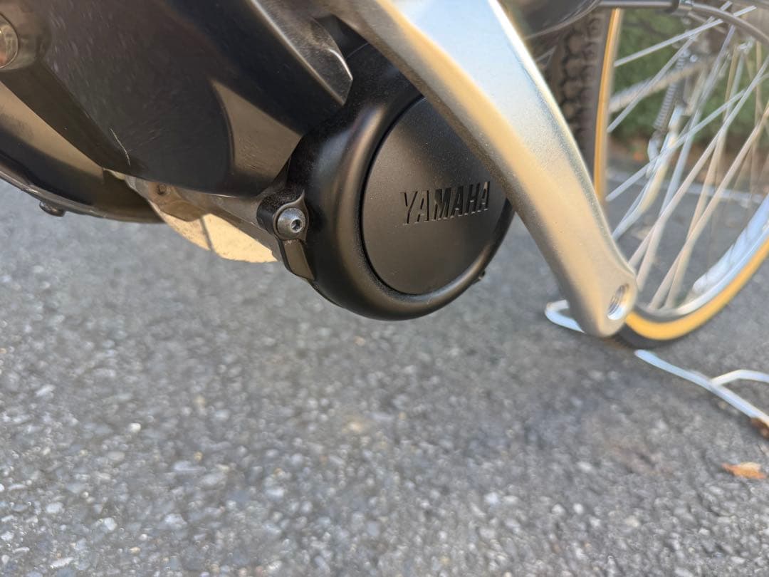 YAMAHA PAS With DX 2023‼️