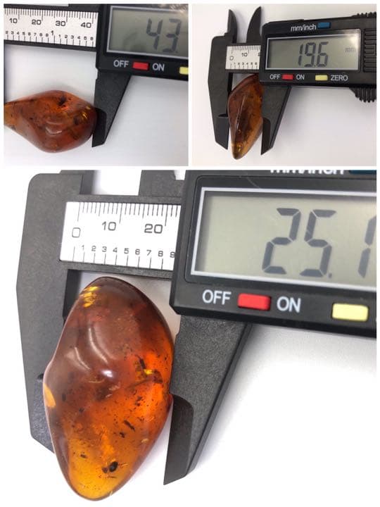 虫本琥珀 虫入りアンバー 即納 琥珀 ユニーク 天然石 宝石 化石