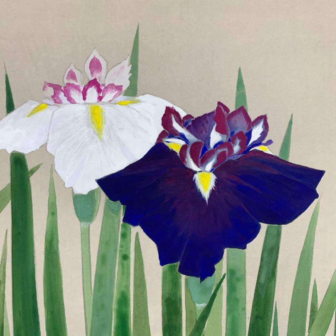 美品 掛け軸 静湖作 菖蒲図 共箱 太巻き付 季節掛け