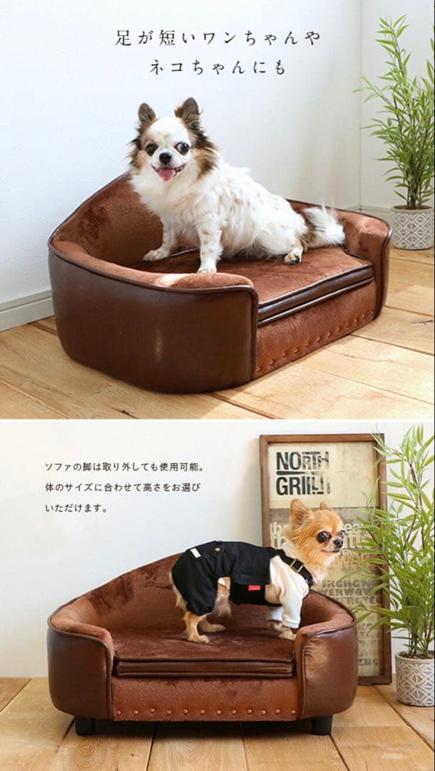 高級ペットソファ PEPE 小型犬・猫用！美品！