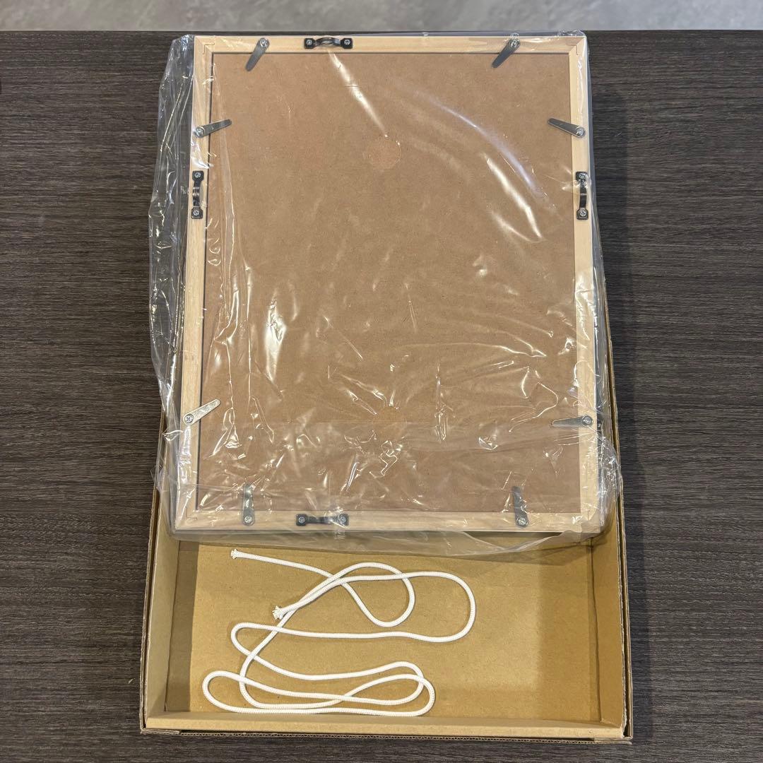 物語シリーズ 忍野扇 キャラファイングラフ 化物語 終物語 複製原画