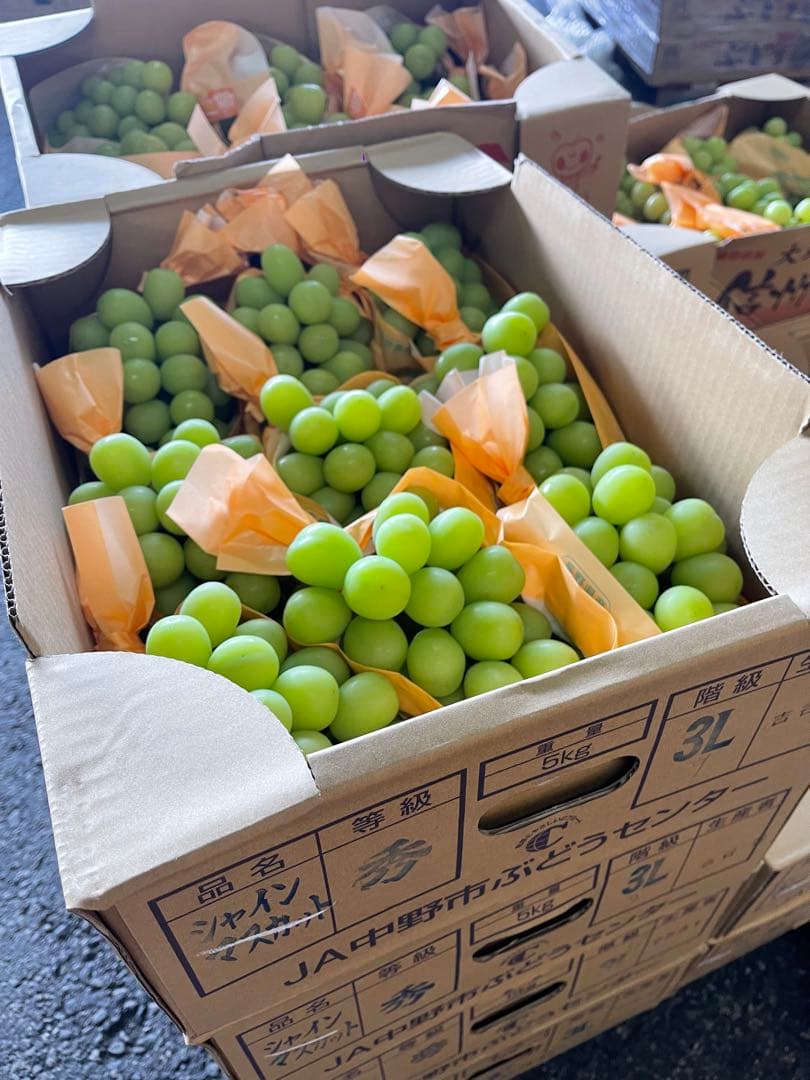 メルカリ限定　シャインマスカット　5キロ　6〜11房 秀　高級品質