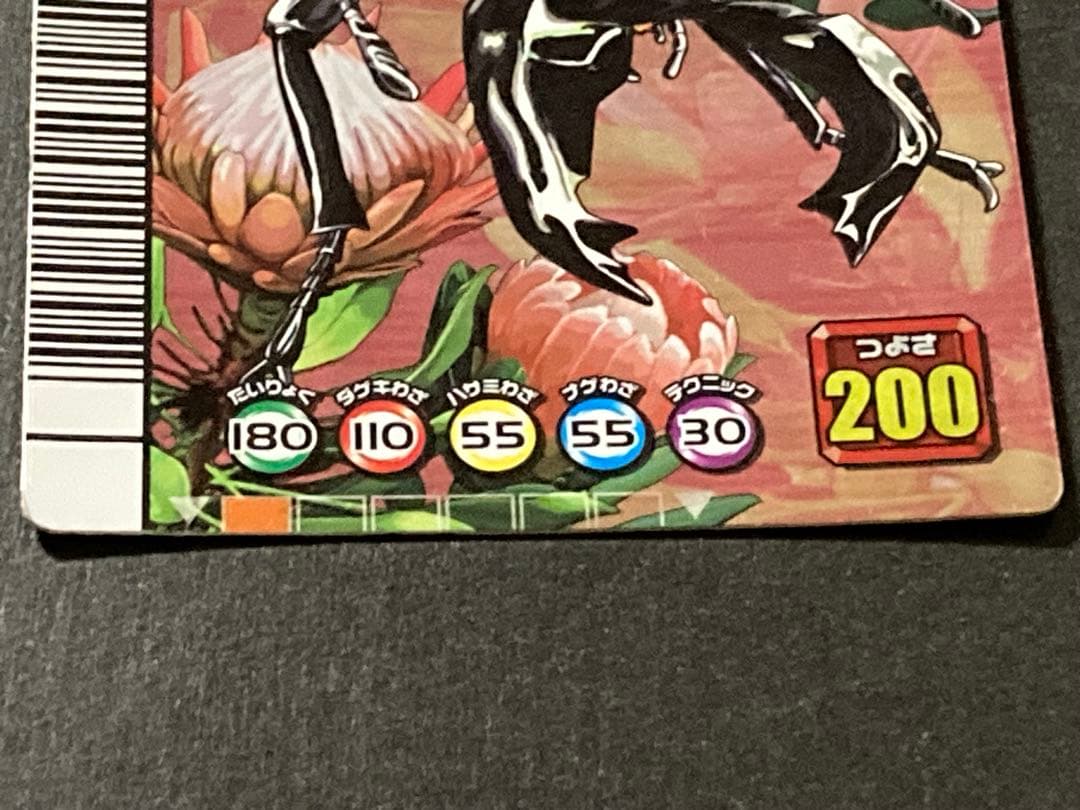 甲虫王者ムシキング　タランドゥスツヤクワガタ　5周年