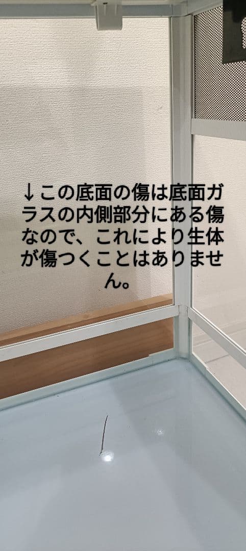 トカゲ 爬虫類　ケージ　サンコー パンテオン　カノン　WH9045　E08