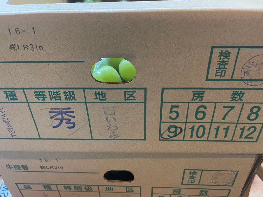 ⑧【島根県産】シャインマスカット約5キロ