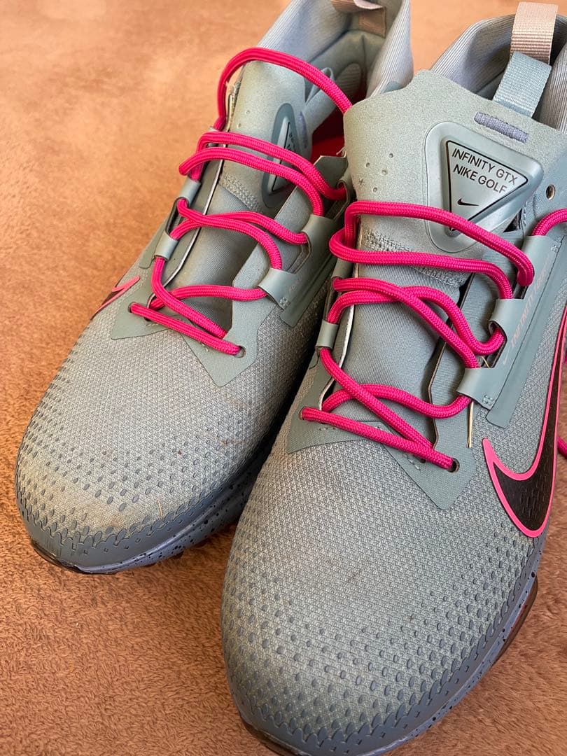 Nike Infinity GTX ゴルフシューズ　29cm