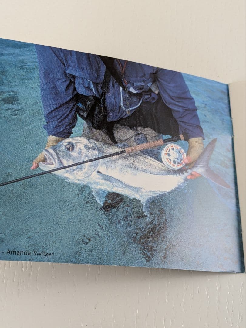 ✨️未使用/正規品✨️ VAN STAAL ✴️C-VEX 7/8✴️