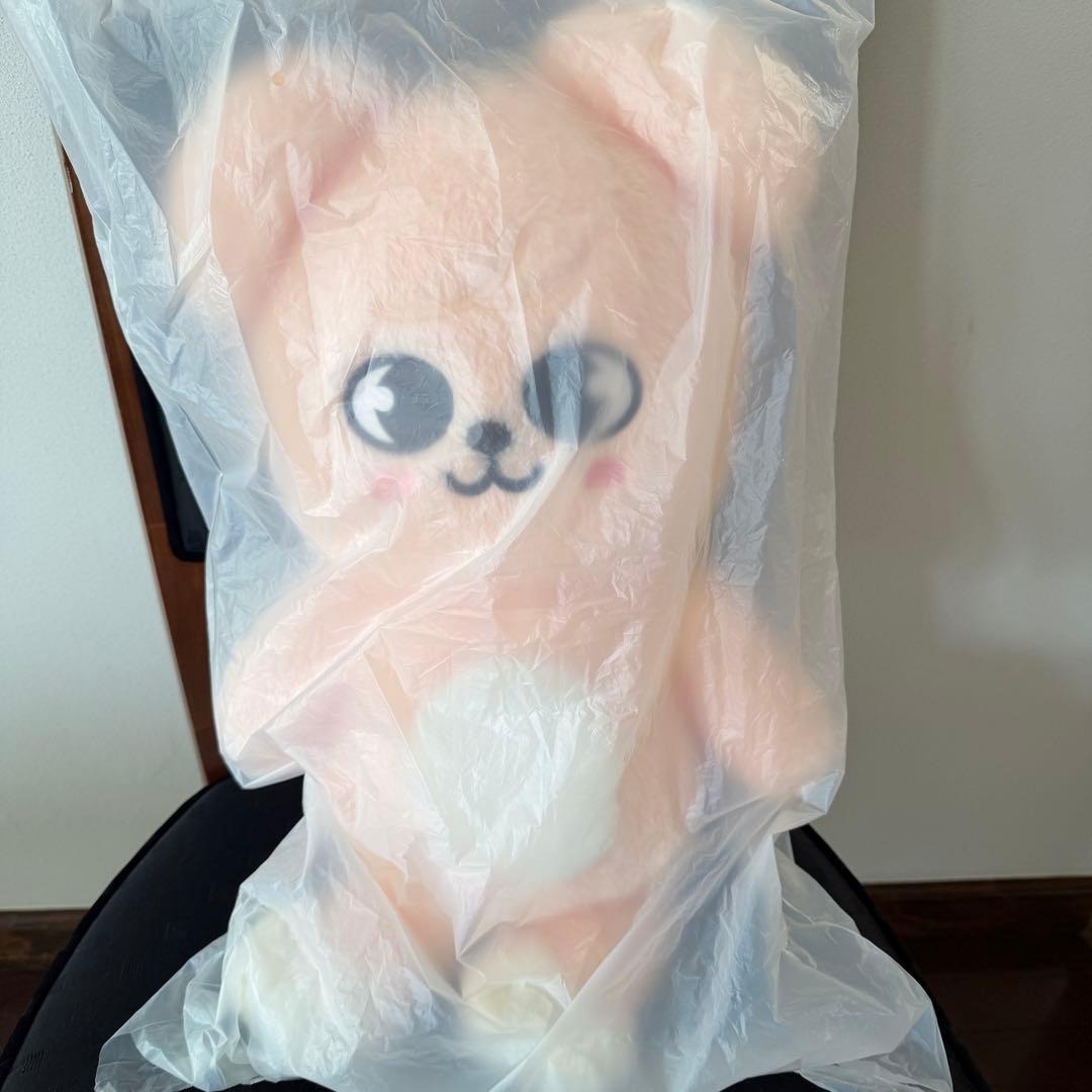 テディベア ぬいぐるみ teddybear SKZOO パピム PuppyM