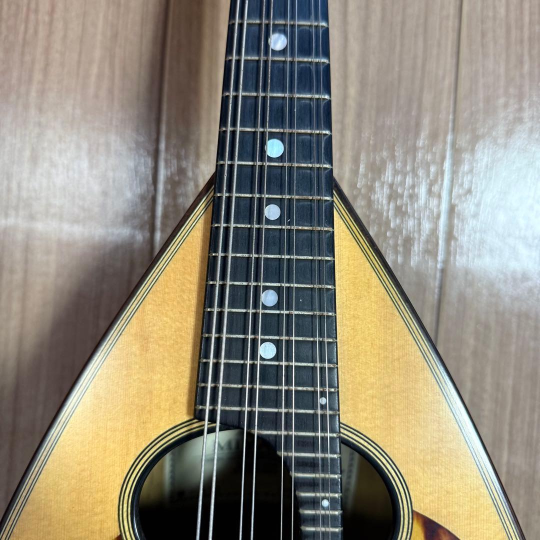 【美品】宮野マンドリン　M-1 ローズウッドボディ　 マンドリンケース　弦付き