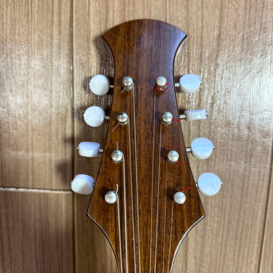 【美品】宮野マンドリン　M-1 ローズウッドボディ　 マンドリンケース　弦付き