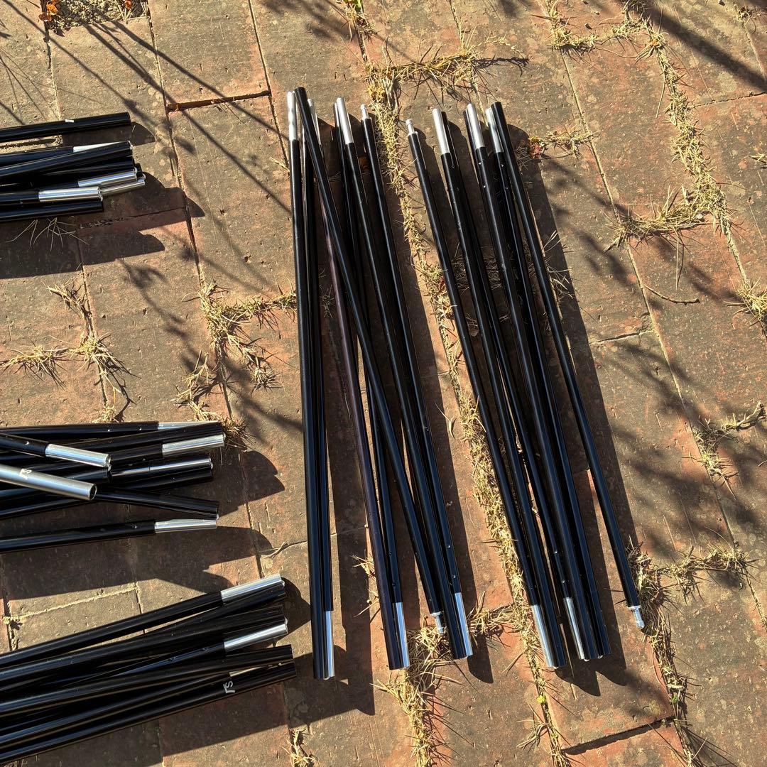 サバティカル　ギリア