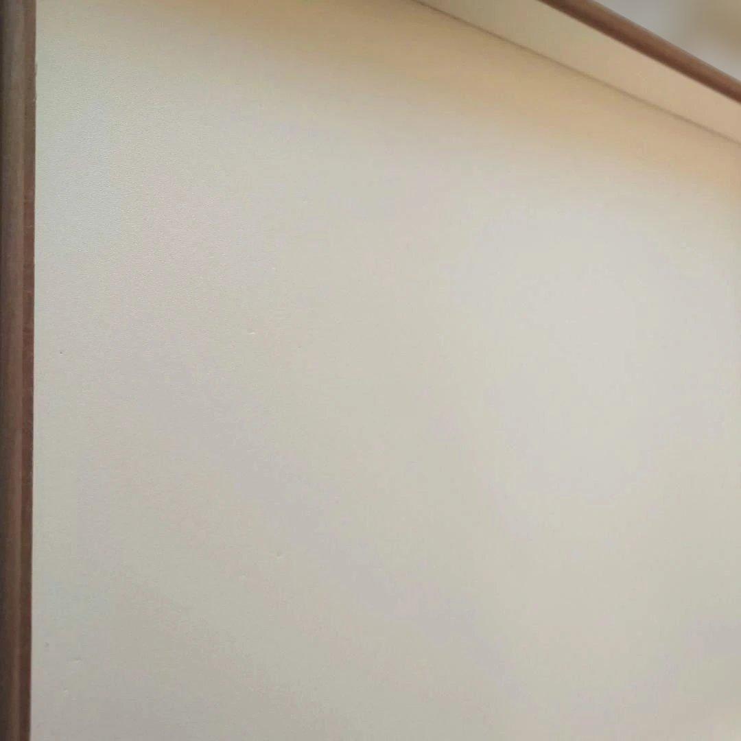 あ*ぬ様 中野製作所　大型ドイツ箱　標本箱　中古　約42×51×6