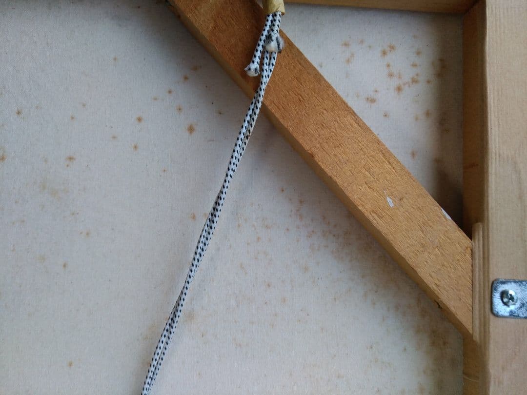 楽しい絵　インドネシア