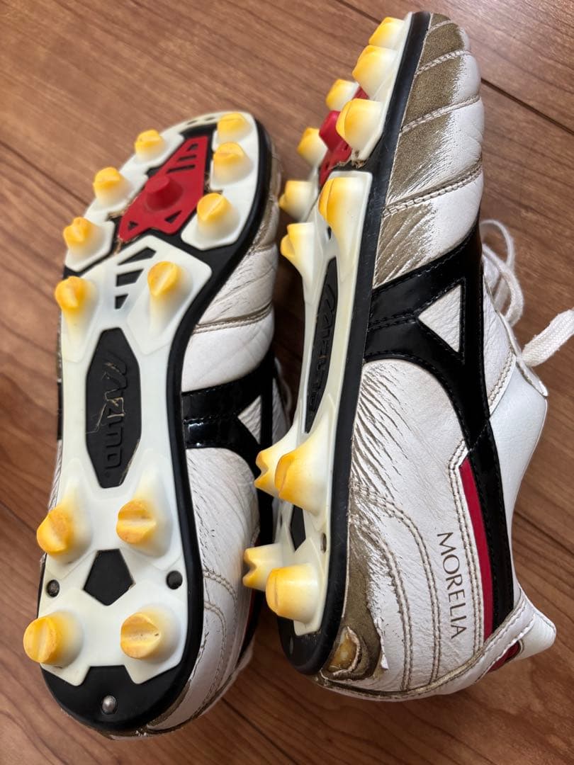 見木友哉選手　サイン入りスパイク