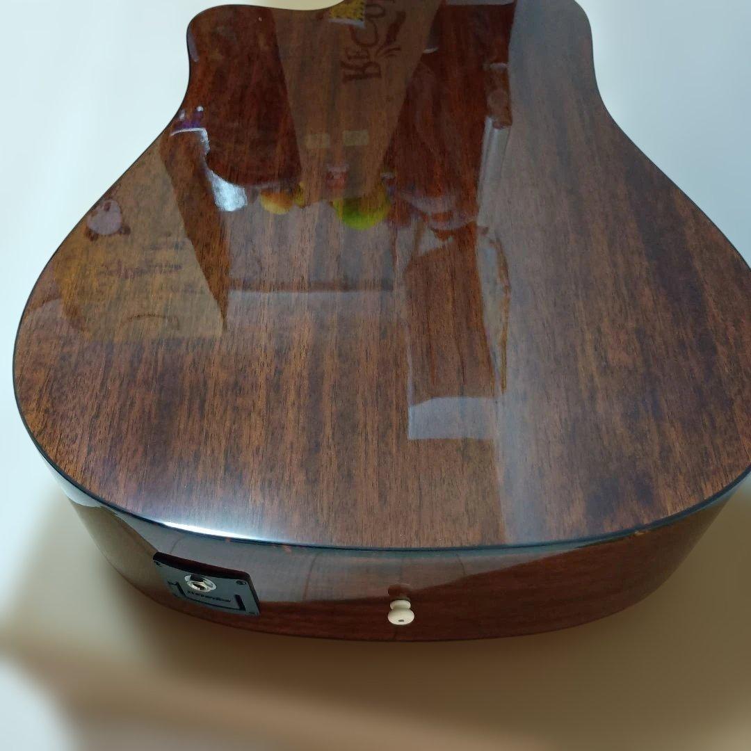 Recording King RD-C6-CFE5 アコースティックギター