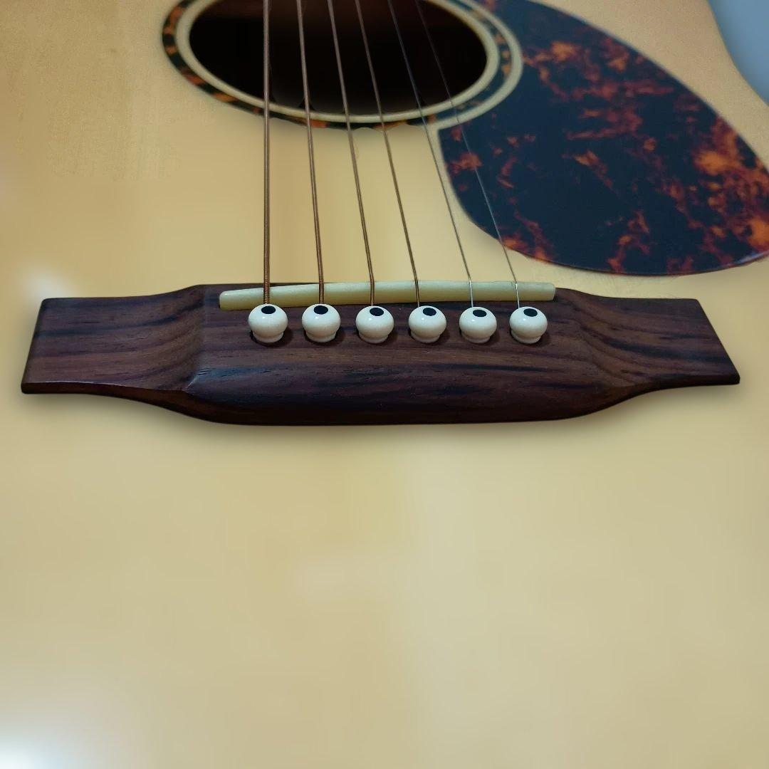 Recording King RD-C6-CFE5 アコースティックギター