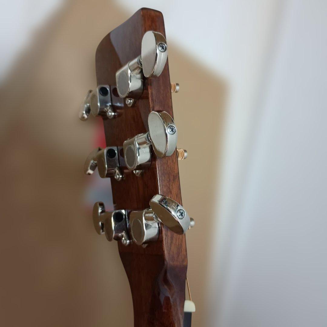 Recording King RD-C6-CFE5 アコースティックギター