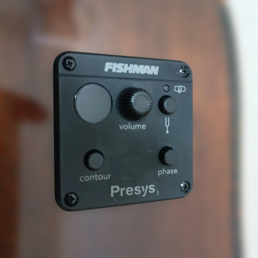 Recording King RD-C6-CFE5 アコースティックギター