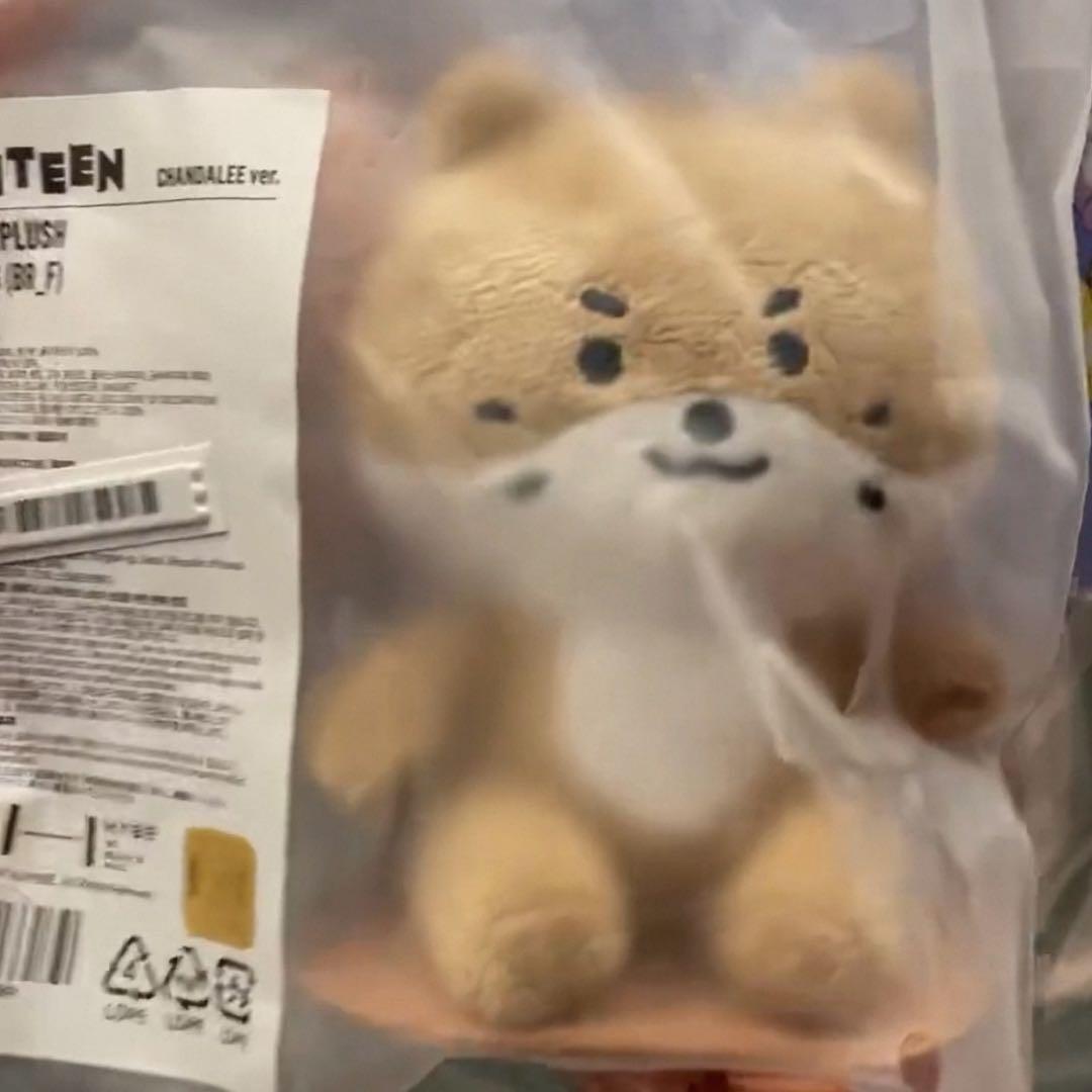 miniteen ディノ マグネット キーリング チャンダリ DINO