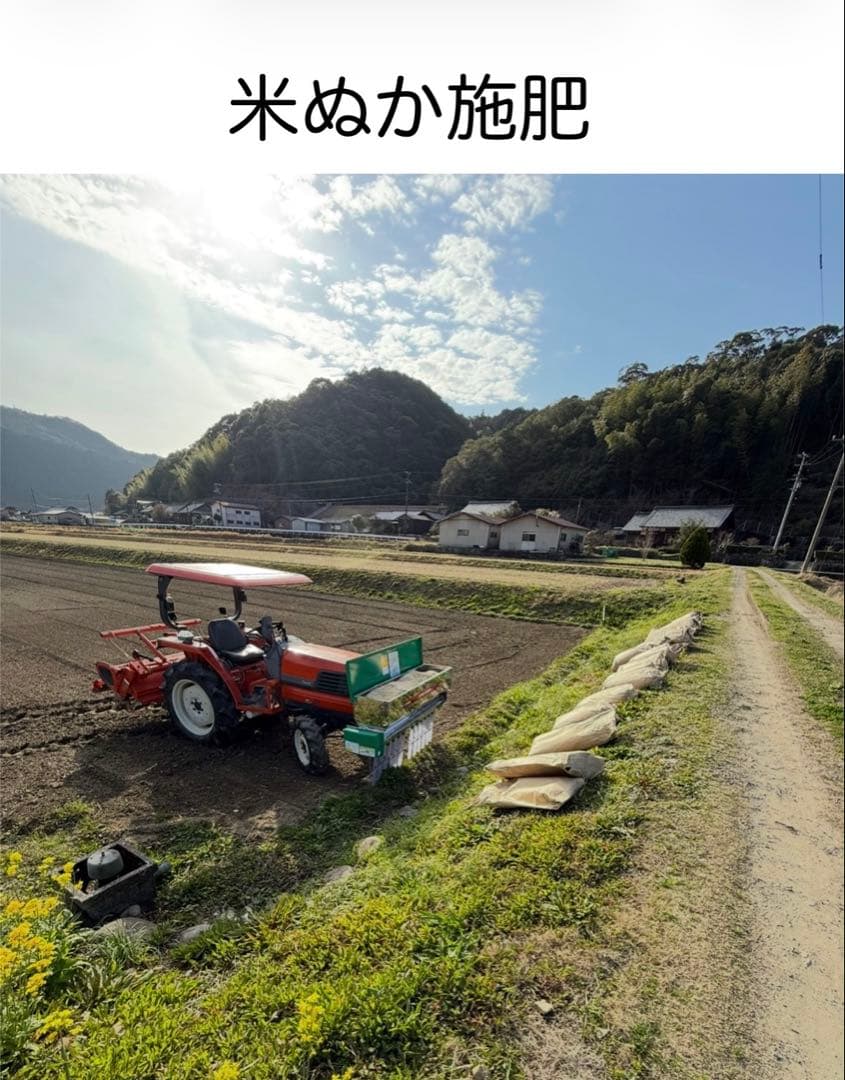 令和7年度愛媛県産コシヒカリ10k 有機肥料で作ったお米　 プレミアム(一等米)