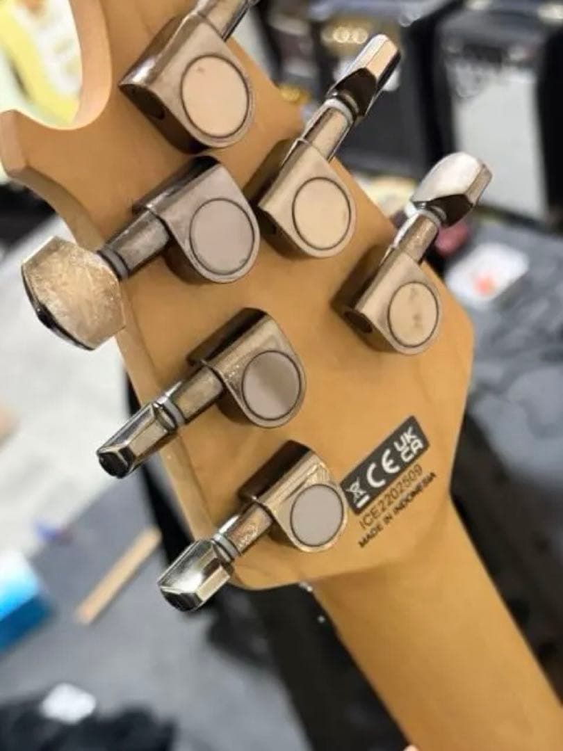 EVH Wolfgang WG Standard ウルフギャング ギター