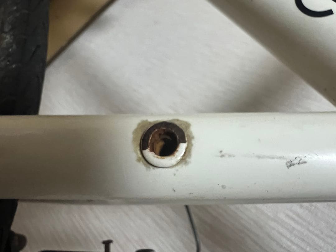 BIANCHI | CAMALEONTE SPORT due クロスバイク