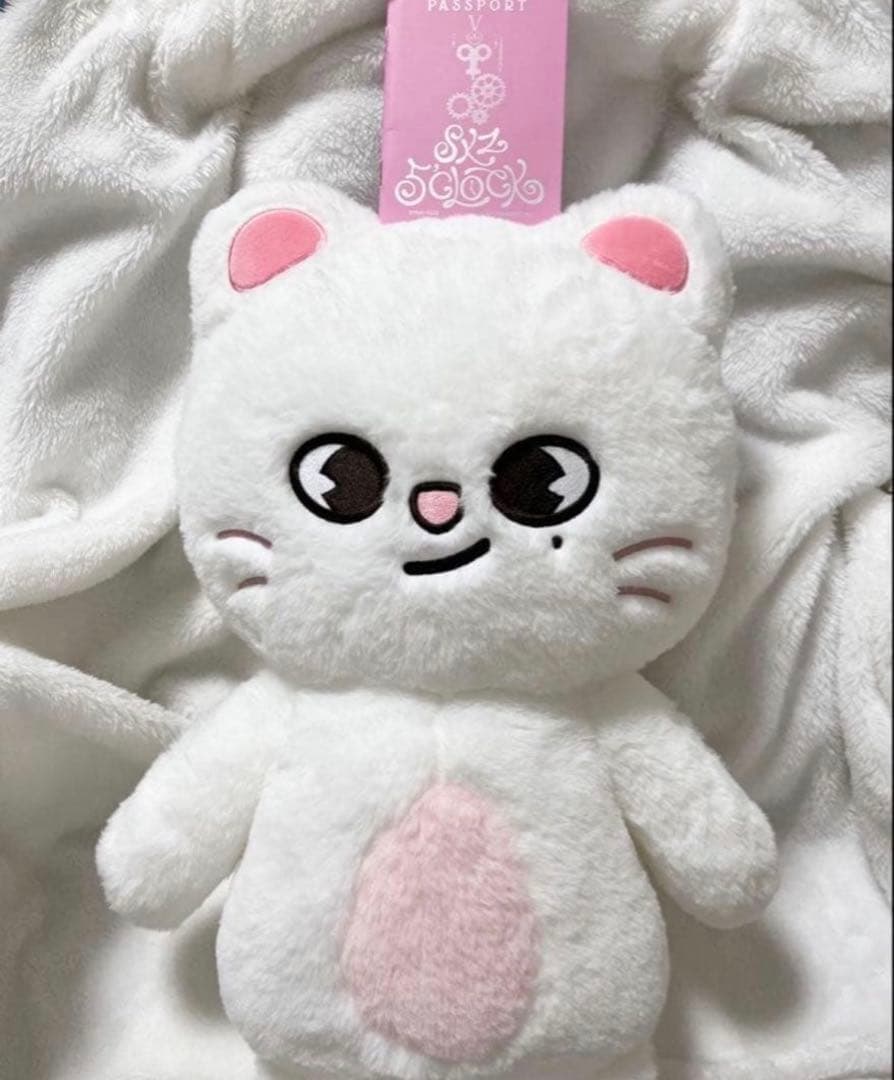 【本日価格】straykids ヒョンジン テディベア ぬいぐるみ SKZOO