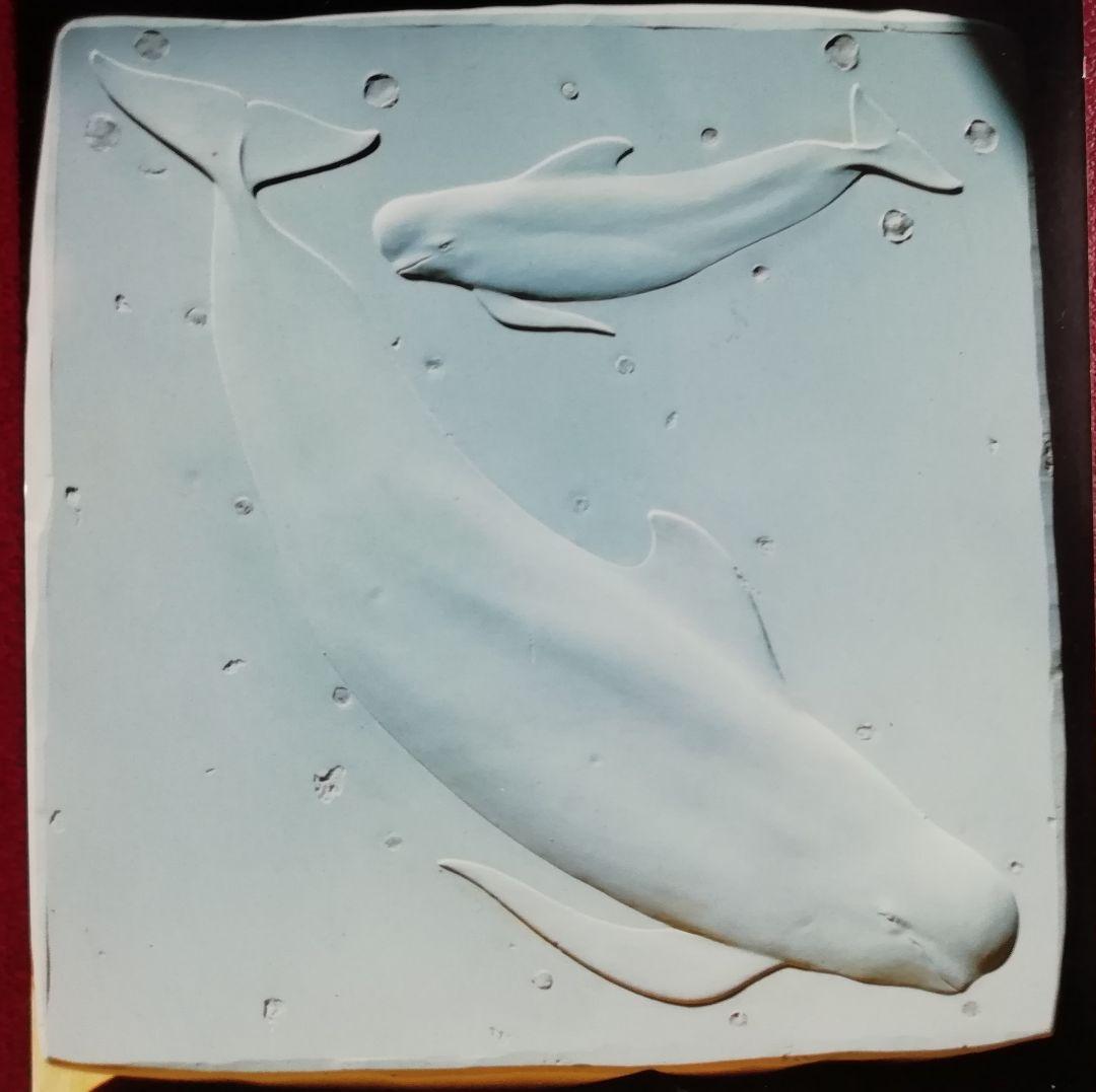 mina222さま専用　Ocean Life 　5-➀, ③、1-➀、1-➆