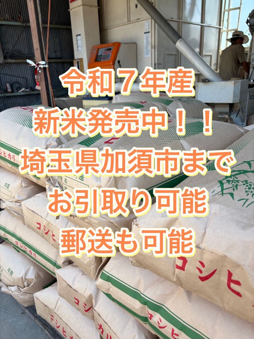令和7年 新米 コシヒカリ 玄米30kg（白米27キロ）埼玉北川辺産 特別栽培米