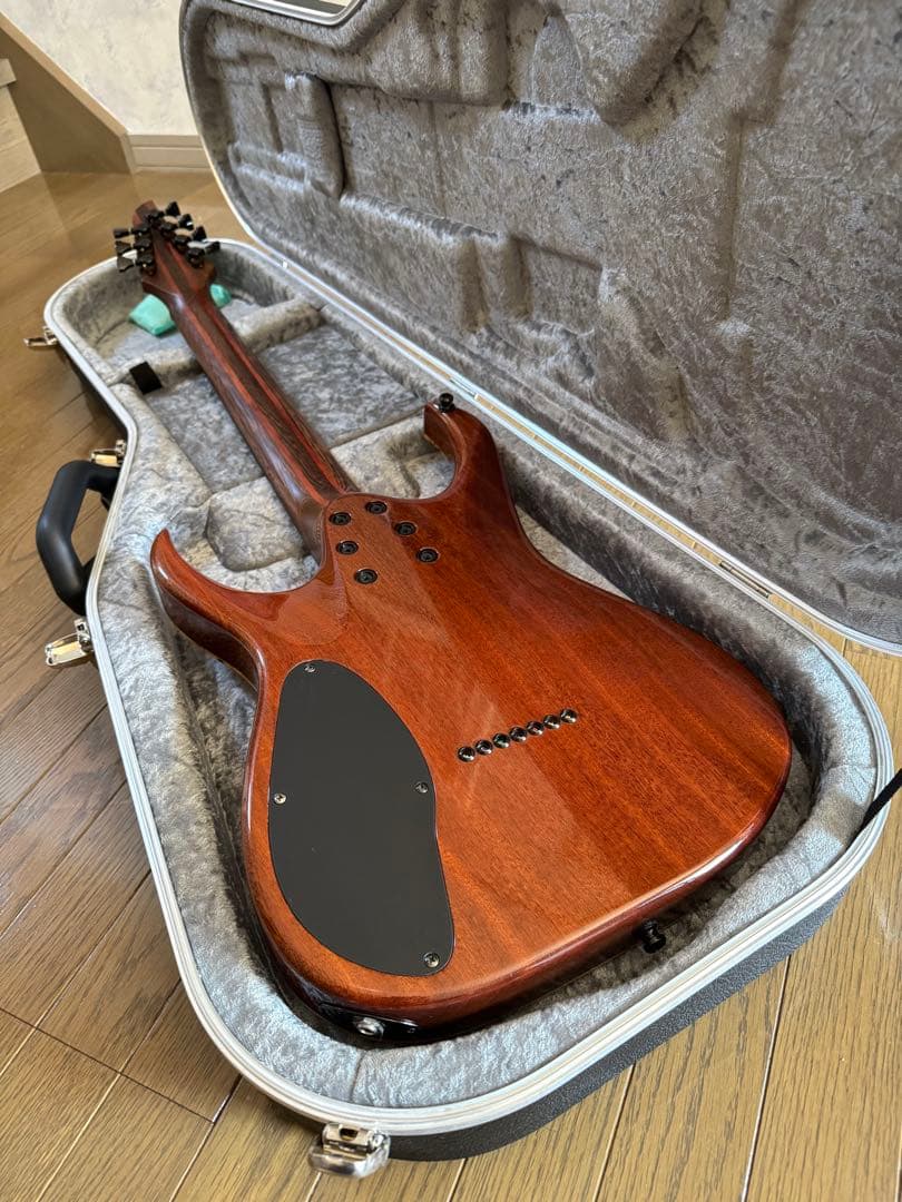 ギター MAYONES Duvell Elite 7